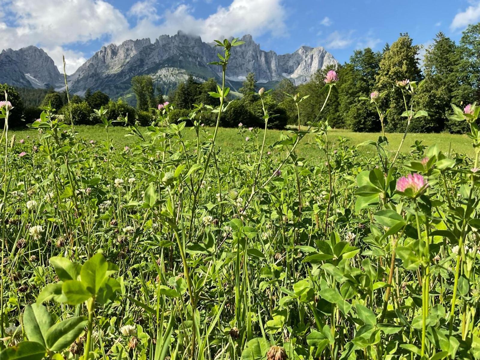 Chalet Belle Kitz By Belle Stay Κίτσμπουελ Εξωτερικό φωτογραφία